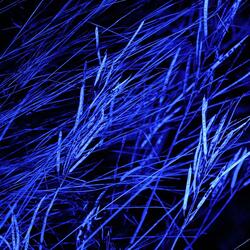 Through The Blue