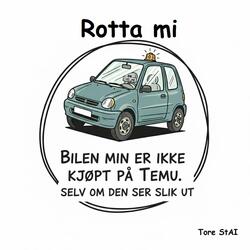 Rotta mi