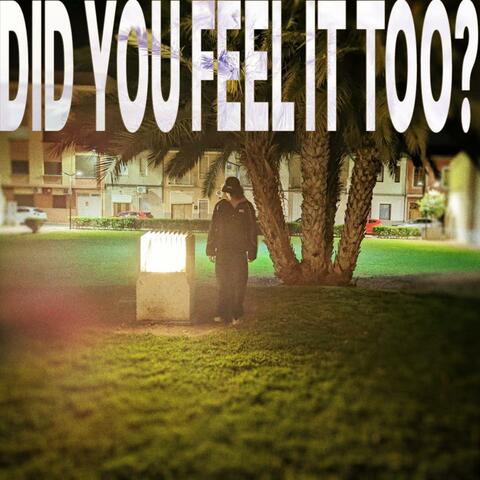 DID YOU FEEL IT TOO?