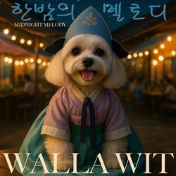 한밤의 멜로디 (Midnight Melody)