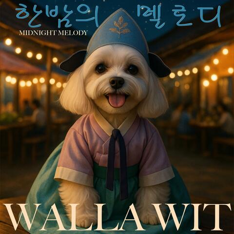 한밤의 멜로디 (Midnight Melody)