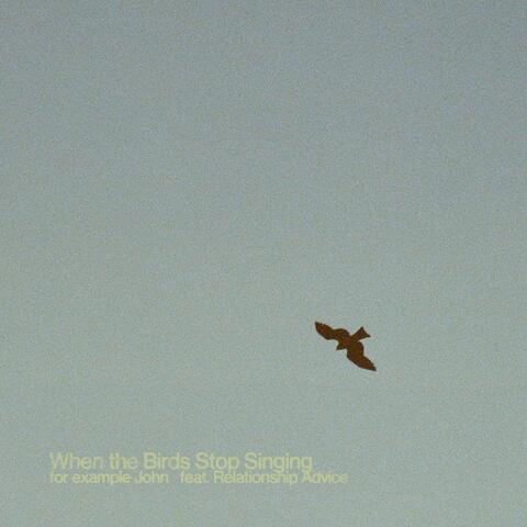 When the Birds Stop Singing