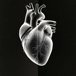 A Heart