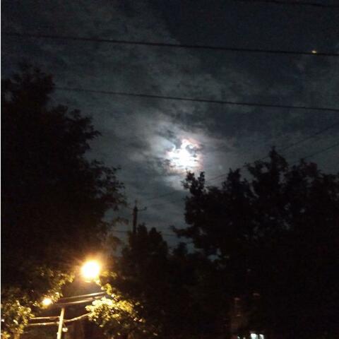 Hammner Instrumental remastered