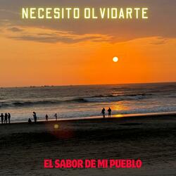 NECESITO OLVIDARTE