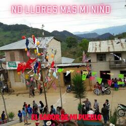 NO LLORES MAS MI NIÑO