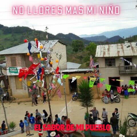 NO LLORES MAS MI NIÑO