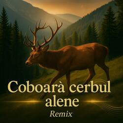 Coboară cerbul a lene 2