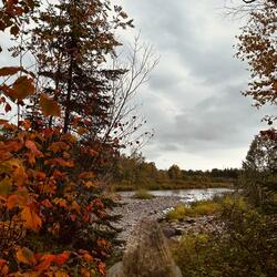 Sleeping in on a Sunday