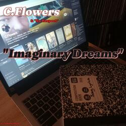 Imaginary Dreams