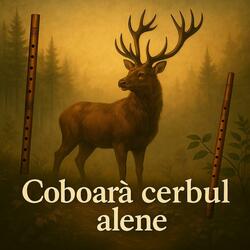 Coboară cerbul alene