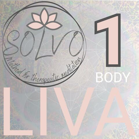 SOLVO 1 Body