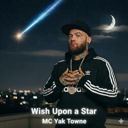 Wish Upon a Star
