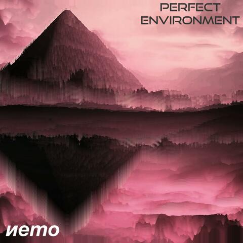 PERFECT ENVIRONMENT