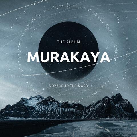Voyage To The Mars