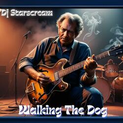 Walking the dog (Radio Edit)