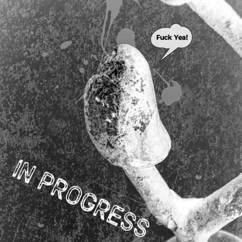 In Progress