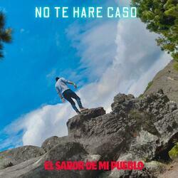 NO TE HARE CASO