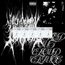 SMOKEDOUTPARTY (feat. MISAMISA)