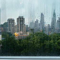 Chilly Afternoon in New York City