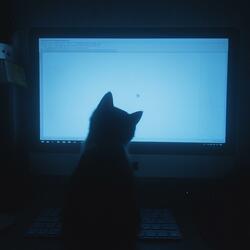 We all trying to be unique