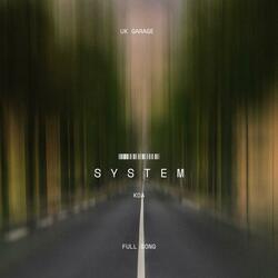system