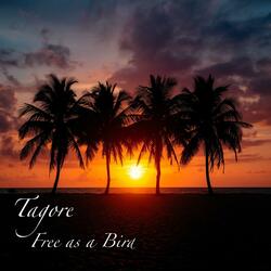 Free as a Bird