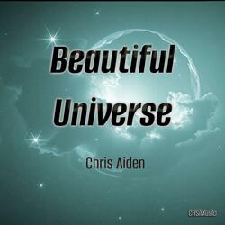 Beautiful Universe