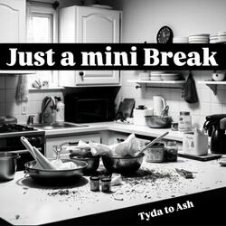 Just a mini Break