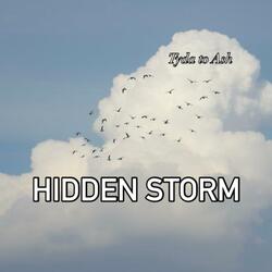 Hidden Storm