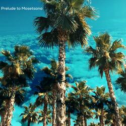 Prelude to Mosetsana