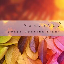 Morning Light