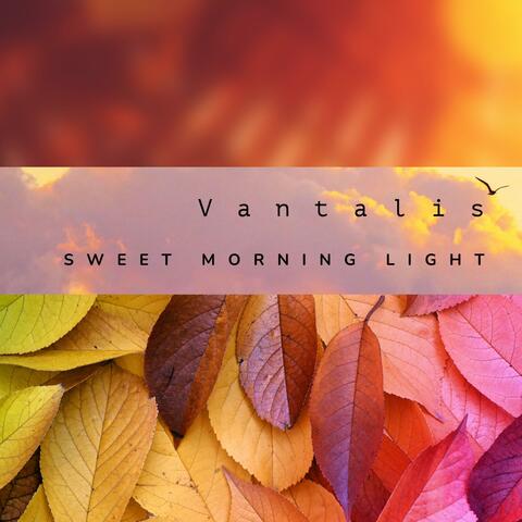 Sweet Morning Light