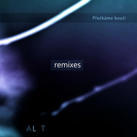 Přečkáme bouři remixes
