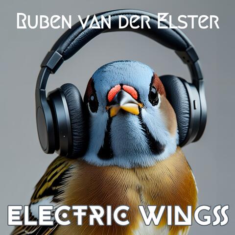 Electric Wings