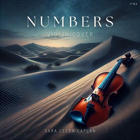 NUMBERS (Violin Instrumental)