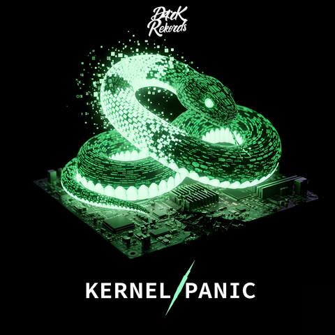 Kernel Panic