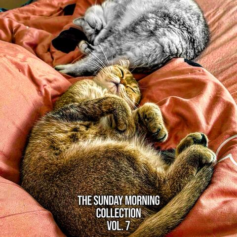 The Sunday Morning Collection, Vol. 7