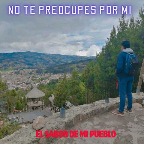 NO TE PREOCUPES POR MI