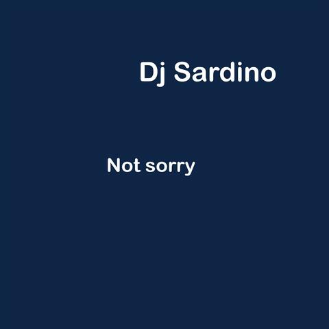 Not sorry (Radio Edit)