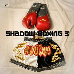 Shadow Boxing 3