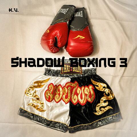 Shadow Boxing 3