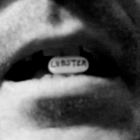 The Lobster (my disorders) (feat. calQtek)