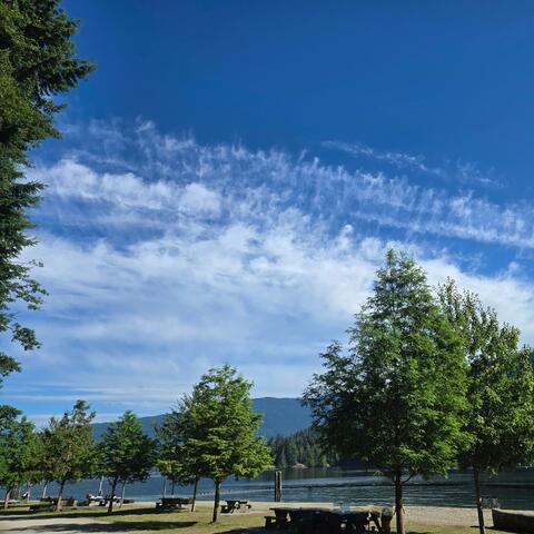 Lake in the morning