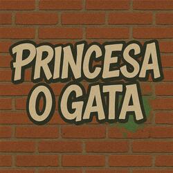 Princesa o gata