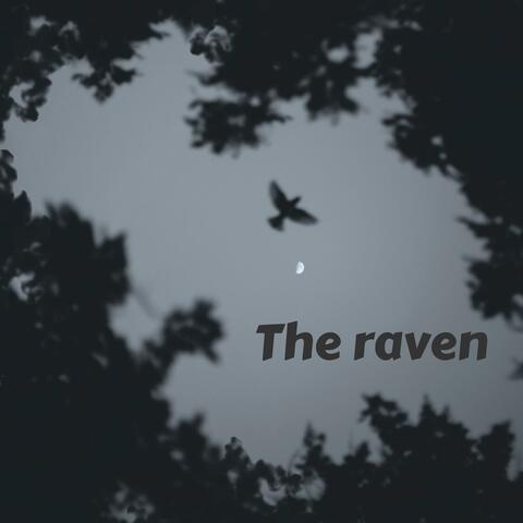 The raven