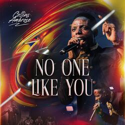 No One Like You