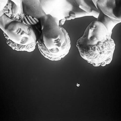 THREE DEER IN THE INFINITY ROOM