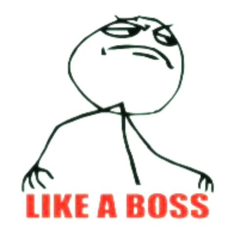 LIKE A BOSS