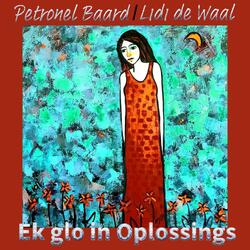 Ek glo in Oplossings